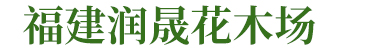 造型三角梅